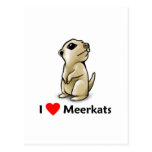 I love Meerkats Post Cards