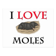 I Love Moles Post Card