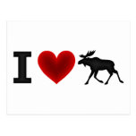 I Love Moose Post Card