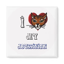 i love my abyssinian magnet