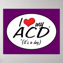I Love My ACD (It's a Dog) Posters