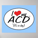I Love My ACD (It's a Dog) posters
