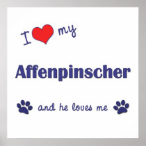 I Love My Affenpinscher (Male Dog) Posters