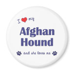 I Love My Afghan Hound (Female Dog) magnets