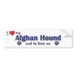 I Love My Afghan Hound (Male Dog) Bumper Stickers