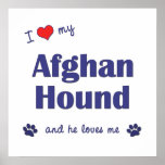 I Love My Afghan Hound (Male Dog) posters