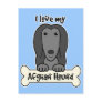 I Love My Afghan Hound Post Cards