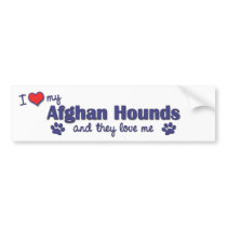 I Love My Afghan Hounds (Multiple Dogs) Bumper Stickers