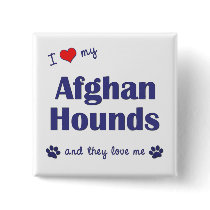 I Love My Afghan Hounds (Multiple Dogs) Pinback Button