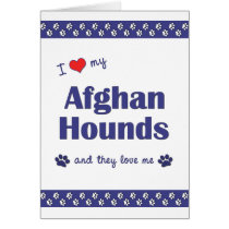 I Love My Afghan Hounds (Multiple Dogs) Greeting Card