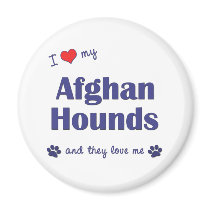 I Love My Afghan Hounds (Multiple Dogs) Refrigerator Magnets