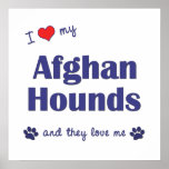 I Love My Afghan Hounds (Multiple Dogs) posters