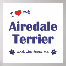 I Love My Airedale Terrier (Female Dog) Posters
