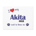 I Love My Akita Mix (Male Dog) postcards