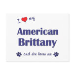 I Love My American Brittany (Female Dog) postcards