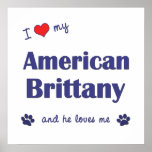 I Love My American Brittany (Male Dog) posters