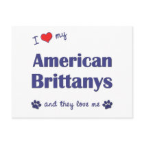 I Love My American Brittanys (Multiple Dogs) Post Cards