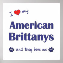 I Love My American Brittanys (Multiple Dogs) Posters