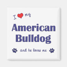 I Love My American Bulldog (Male Dog) Magnets
