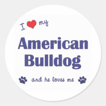 I Love My American Bulldog (Male Dog) Sticker
