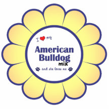 I Love My American Bulldog Mix (Female Dog) Photo Sculptures