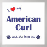 I Love My American Curl (Female Cat) Posters
