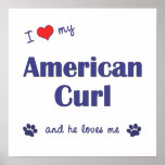 I Love My American Curl (Male Cat) Posters