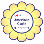 I Love My American Curls (Multiple Cats) Photo Cut Out
