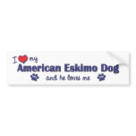 I Love My American Eskimo Dog (Male Dog) bumper stickers