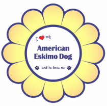 I Love My American Eskimo Dog (Male Dog) Photo Sculpture