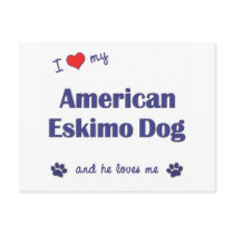 I Love My American Eskimo Dog (Male Dog) Postcard