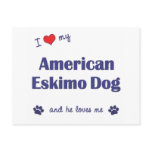 I Love My American Eskimo Dog (Male Dog) postcards