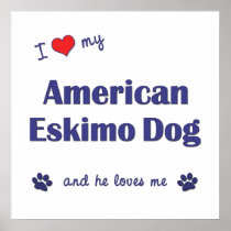 I Love My American Eskimo Dog (Male Dog) Print