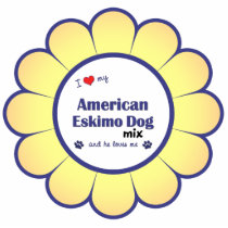 I Love My American Eskimo Dog Mix (Male Dog) Acrylic Cut Out