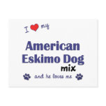 I Love My American Eskimo Dog Mix (Male Dog) postcards