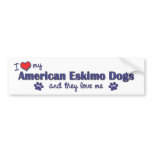 I Love My American Eskimo Dogs (Multiple Dogs) bumper stickers