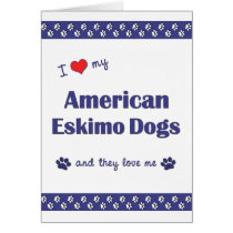I Love My American Eskimo Dogs (Multiple Dogs) Greeting Card