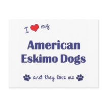 I Love My American Eskimo Dogs (Multiple Dogs) Postcards