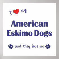 I Love My American Eskimo Dogs (Multiple Dogs) Posters