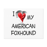 I Love My American Foxhound Postcard