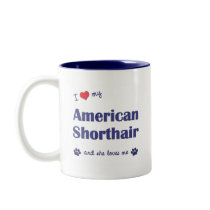I Love My American Shorthair (Female Cat) Coffee Mugs