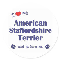 I Love My American Staffordshire (Male Dog) Stickers