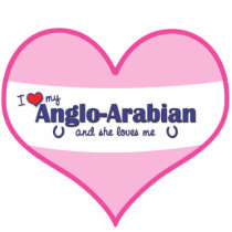 I Love My Anglo-Arabian (Female Horse) Photo Cutout