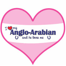 I Love My Anglo-Arabian (Male Horse) Photo Cutouts