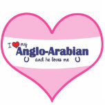 I Love My Anglo-Arabian (Male Horse) photo sculptures
