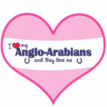 I Love My Anglo-Arabians (Multiple Horses) Photo Sculptures
