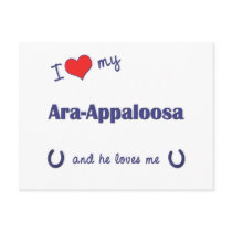 I Love My Ara-Appaloosa (Male Horse) Postcards