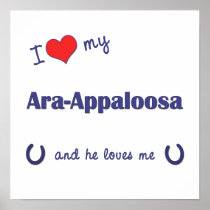I Love My Ara-Appaloosa (Male Horse) Posters