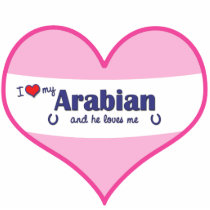I Love My Arabian (Male Horse) Cut Outs