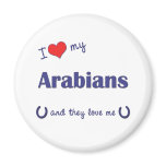 I Love My Arabians (Multiple Horses) magnets